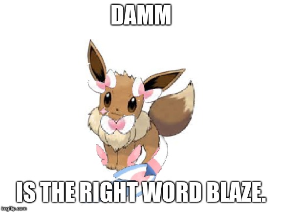 DAMM IS THE RIGHT WORD BLAZE. | made w/ Imgflip meme maker