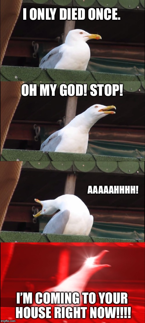 Inhaling Seagull Meme | I ONLY DIED ONCE. OH MY GOD! STOP! AAAAAHHHH! I’M COMING TO YOUR HOUSE RIGHT NOW!!!! | image tagged in memes,inhaling seagull | made w/ Imgflip meme maker