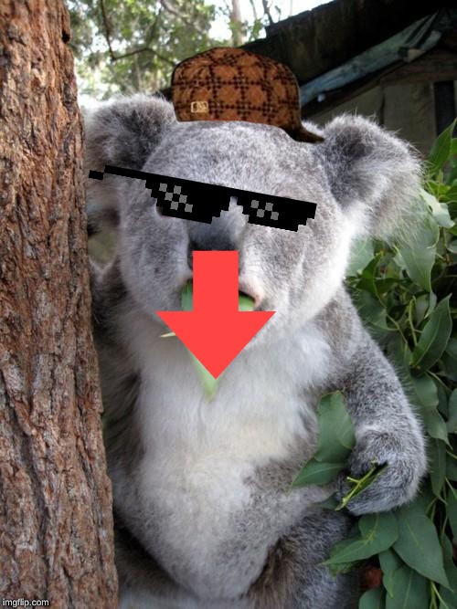 Surprised Koala Meme | image tagged in memes,surprised koala | made w/ Imgflip meme maker