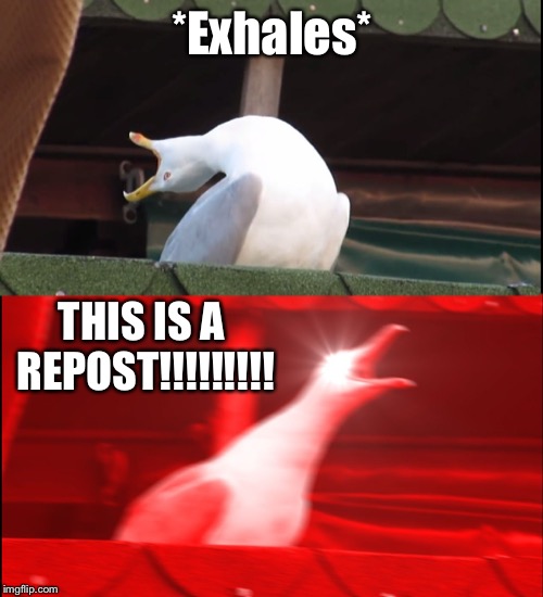 Screaming bird | *Exhales* THIS IS A REPOST!!!!!!!!! | image tagged in screaming bird | made w/ Imgflip meme maker