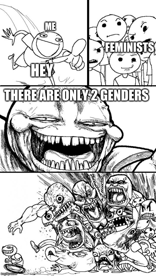 Hey Internet | FEMINISTS; ME; HEY; THERE ARE ONLY 2 GENDERS | image tagged in memes,hey internet | made w/ Imgflip meme maker