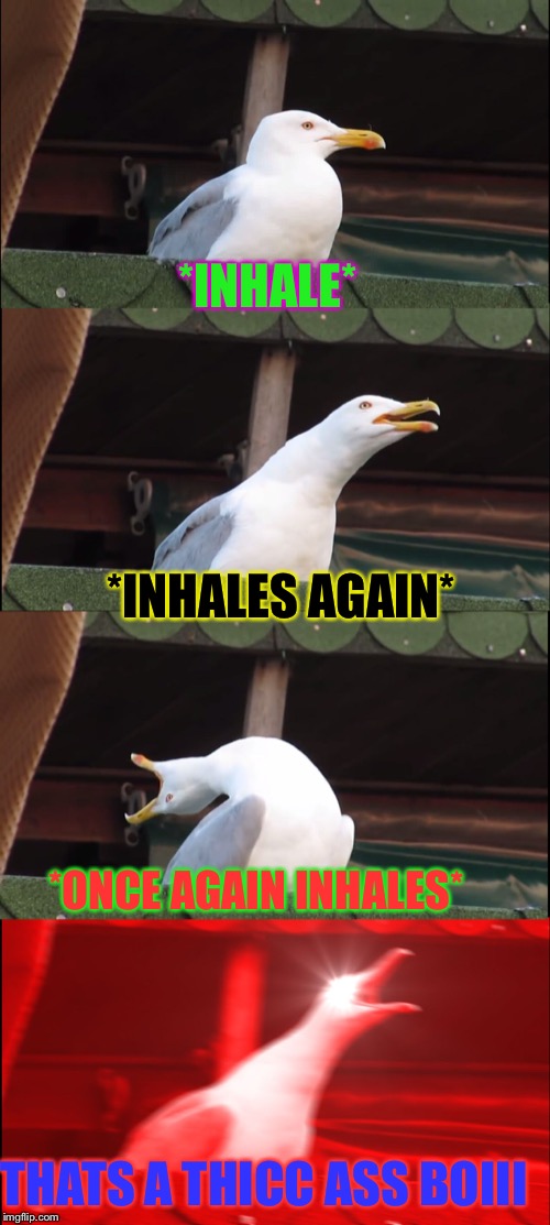 Inhaling Seagull Meme | *INHALE*; *INHALES AGAIN*; *ONCE AGAIN INHALES*; THATS A THICC ASS BOIII | image tagged in memes,inhaling seagull | made w/ Imgflip meme maker