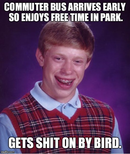 Bad Luck Brian Meme | COMMUTER BUS ARRIVES EARLY SO ENJOYS FREE TIME IN PARK. GETS SHIT ON BY BIRD. | image tagged in memes,bad luck brian | made w/ Imgflip meme maker