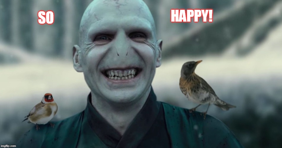 HAPPY TOM | HAPPY! SO | image tagged in voldemort | made w/ Imgflip meme maker
