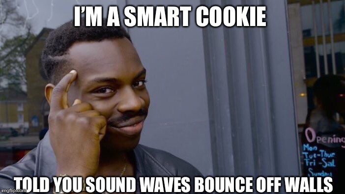 Roll Safe Think About It | I’M A SMART COOKIE; TOLD YOU SOUND WAVES BOUNCE OFF WALLS | image tagged in memes,roll safe think about it | made w/ Imgflip meme maker