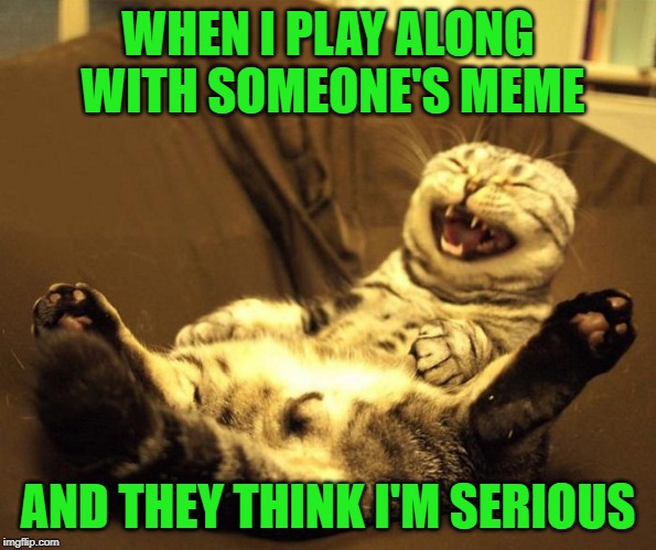 laughing cat | WHEN I PLAY ALONG WITH SOMEONE'S MEME; AND THEY THINK I'M SERIOUS | image tagged in laughing cat,memes,nixieknox | made w/ Imgflip meme maker