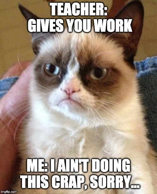 Grumpy Cat | TEACHER: GIVES YOU WORK; ME: I AIN'T DOING THIS CRAP, SORRY... | image tagged in memes,grumpy cat | made w/ Imgflip meme maker