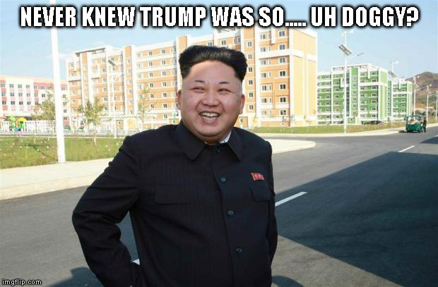 Amused Kim Jong Un | NEVER KNEW TRUMP WAS SO..... UH DOGGY? | image tagged in amused kim jong un | made w/ Imgflip meme maker