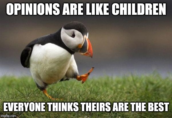 Popular opinion puffin | OPINIONS ARE LIKE CHILDREN EVERYONE THINKS THEIRS ARE THE BEST | image tagged in popular opinion puffin | made w/ Imgflip meme maker