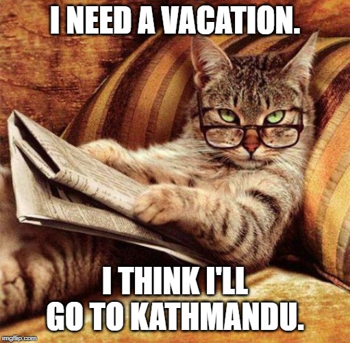 Smart Cat | I NEED A VACATION. I THINK I'LL GO TO KATHMANDU. | image tagged in smart cat,memes,nixieknox | made w/ Imgflip meme maker