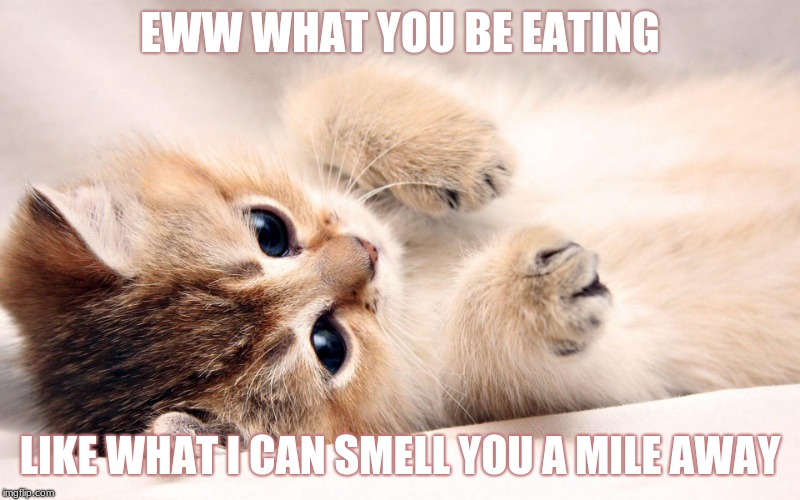 EWWWW WHAT YOU BE EATING | EWW WHAT YOU BE EATING; LIKE WHAT I CAN SMELL YOU A MILE AWAY | image tagged in ewwww what you be eating | made w/ Imgflip meme maker