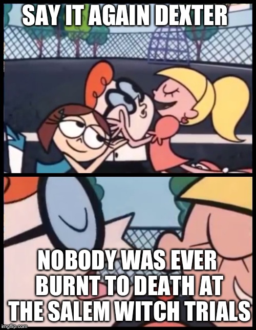 Say it Again, Dexter Meme | SAY IT AGAIN DEXTER; NOBODY WAS EVER BURNT TO DEATH AT THE SALEM WITCH TRIALS | image tagged in memes,say it again dexter | made w/ Imgflip meme maker