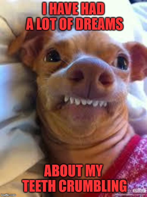 teeth dog | I HAVE HAD A LOT OF DREAMS ABOUT MY TEETH CRUMBLING | image tagged in teeth dog | made w/ Imgflip meme maker