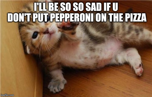 Help Me Kitten | I'LL BE SO SO SAD IF U DON'T PUT PEPPERONI ON THE PIZZA | image tagged in help me kitten | made w/ Imgflip meme maker