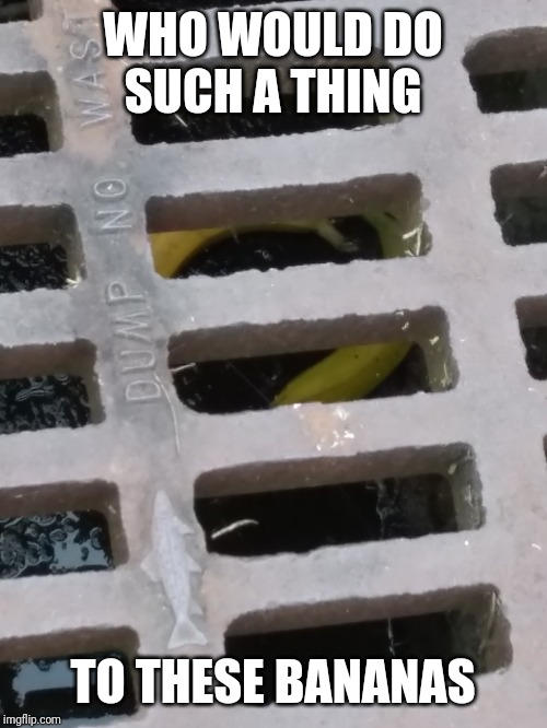 WHO WOULD DO SUCH A THING; TO THESE BANANAS | image tagged in bananas | made w/ Imgflip meme maker