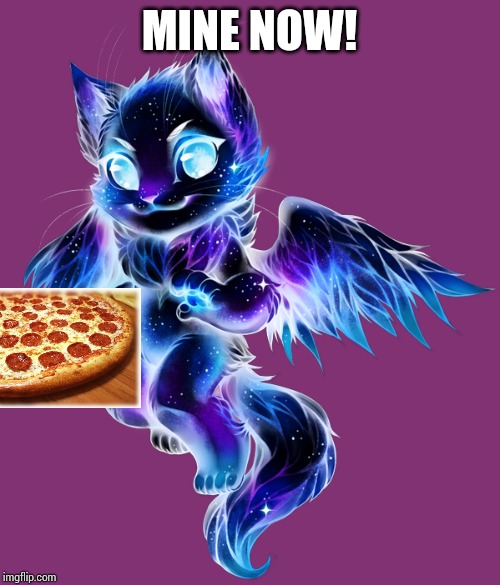 Galaxy Dragon Cat | MINE NOW! | image tagged in galaxy dragon cat | made w/ Imgflip meme maker