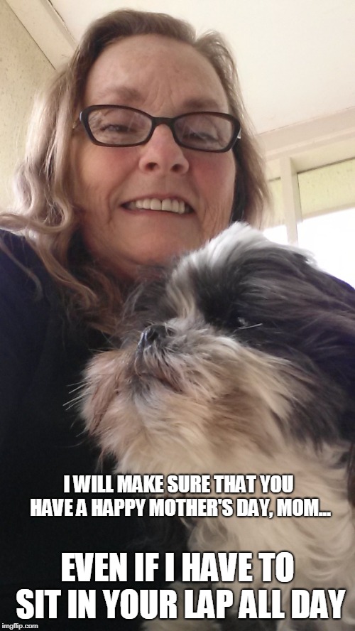 Ling Ling wishing you a Happy Mother's Day | I WILL MAKE SURE THAT YOU HAVE A HAPPY MOTHER'S DAY, MOM... EVEN IF I HAVE TO SIT IN YOUR LAP ALL DAY | image tagged in ling ling wishing you a happy mother's day | made w/ Imgflip meme maker