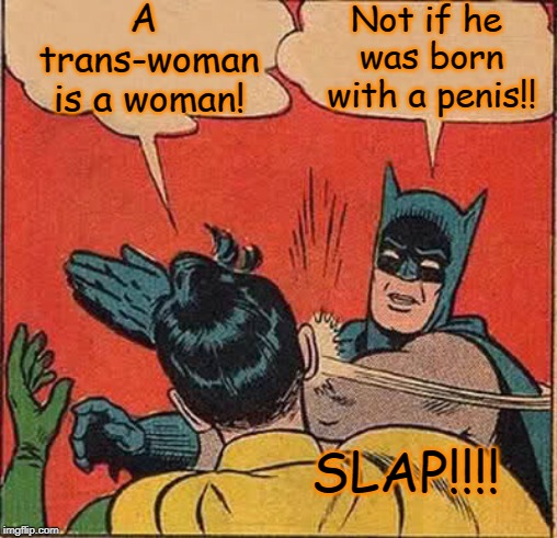 Batman Slapping Robin Meme | A trans-woman is a woman! Not if he was born with a p**is!! SLAP!!!! | image tagged in memes,batman slapping robin | made w/ Imgflip meme maker