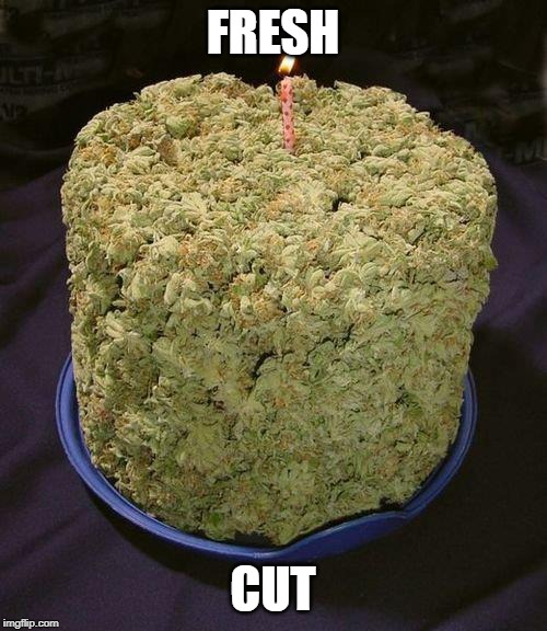 Weed Cake | FRESH CUT | image tagged in weed cake | made w/ Imgflip meme maker