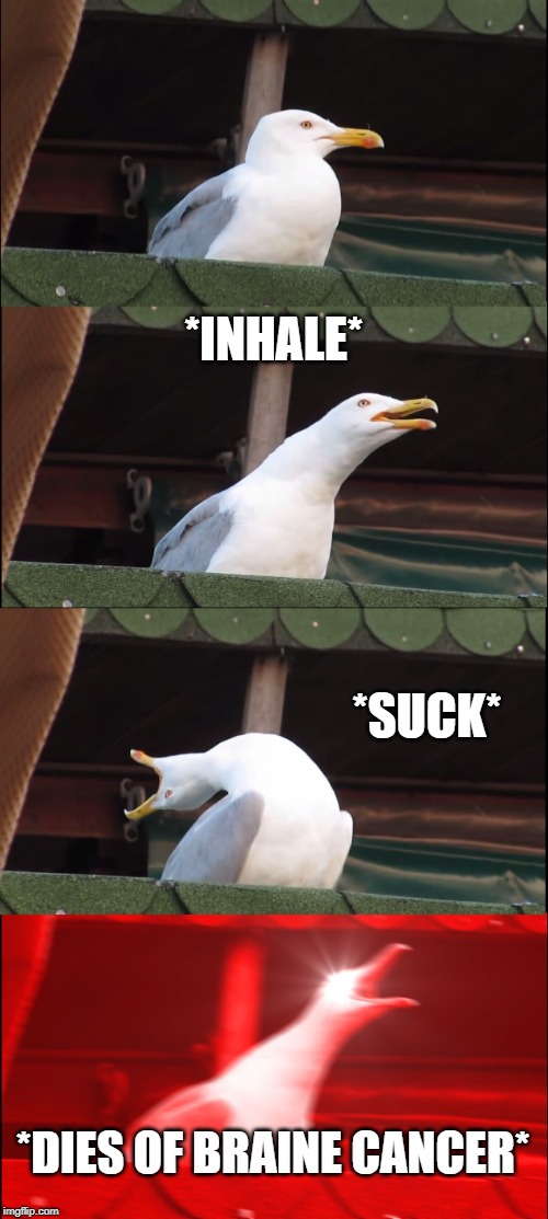 Inhaling Seagull Meme | *INHALE*; *SUCK*; *DIES OF BRAINE CANCER* | image tagged in memes,inhaling seagull | made w/ Imgflip meme maker
