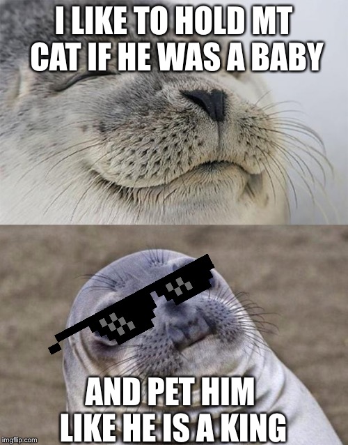 My cat | I LIKE TO HOLD MT CAT IF HE WAS A BABY; AND PET HIM LIKE HE IS A KING | image tagged in memes,short satisfaction vs truth,cats | made w/ Imgflip meme maker