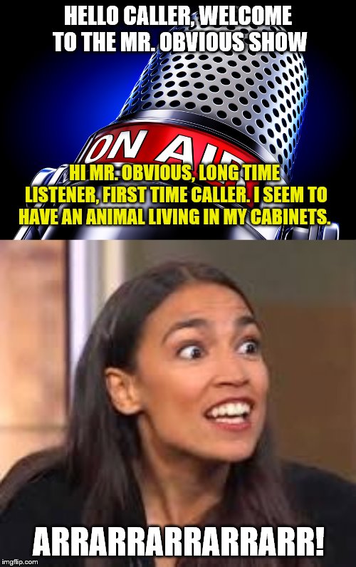 Thanks Mr. Obvious! You're a life saver! | HELLO CALLER, WELCOME TO THE MR. OBVIOUS SHOW; HI MR. OBVIOUS, LONG TIME LISTENER, FIRST TIME CALLER. I SEEM TO HAVE AN ANIMAL LIVING IN MY CABINETS. ARRARRARRARRARR! | image tagged in aoc,alexandria ocasio-cortez,obvious,stupid liberals,moron,congress | made w/ Imgflip meme maker