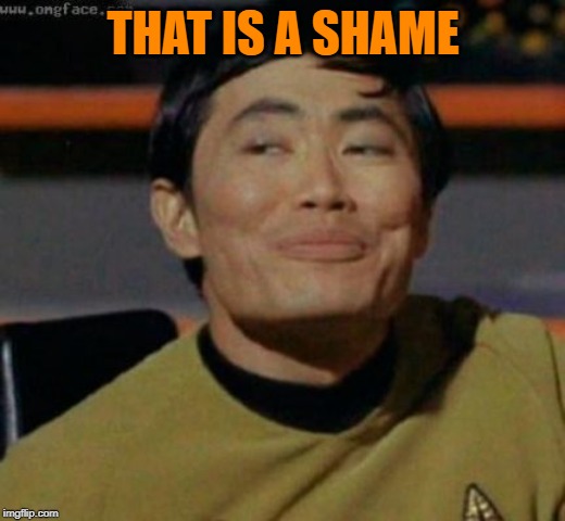 sulu | THAT IS A SHAME | image tagged in sulu | made w/ Imgflip meme maker
