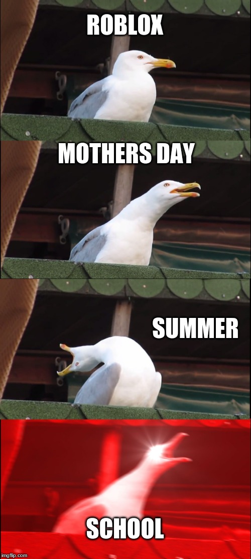 Inhaling Seagull | ROBLOX; MOTHERS DAY; SUMMER; SCHOOL | image tagged in memes,inhaling seagull | made w/ Imgflip meme maker