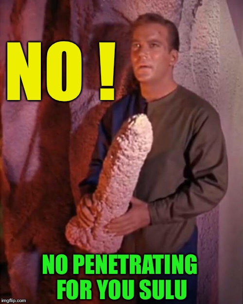 Kirk dildo | NO ! NO PENETRATING FOR YOU SULU | image tagged in kirk dildo | made w/ Imgflip meme maker