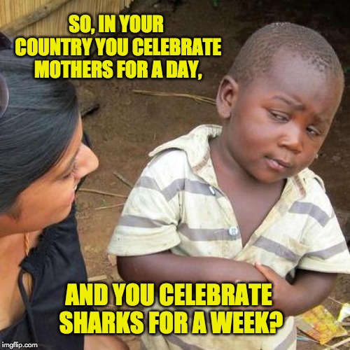 Third World Skeptical Kid | SO, IN YOUR COUNTRY YOU CELEBRATE MOTHERS FOR A DAY, AND YOU CELEBRATE SHARKS FOR A WEEK? | image tagged in memes,third world skeptical kid | made w/ Imgflip meme maker