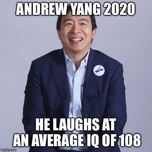 Andrew Yang For President 2020 | ANDREW YANG 2020; HE LAUGHS AT AN AVERAGE IQ OF 108 | image tagged in president 2020,andrewyang2020 | made w/ Imgflip meme maker