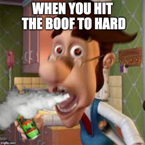 WHEN YOU HIT THE BOOF TO HARD | image tagged in smoke | made w/ Imgflip meme maker
