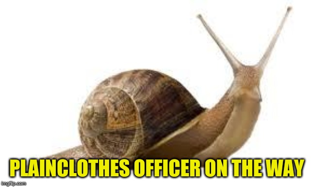 SNAIL | PLAINCLOTHES OFFICER ON THE WAY | image tagged in snail | made w/ Imgflip meme maker