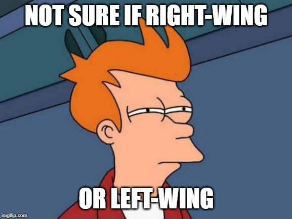 Futurama Fry Meme | NOT SURE IF RIGHT-WING; OR LEFT-WING | image tagged in memes,futurama fry | made w/ Imgflip meme maker