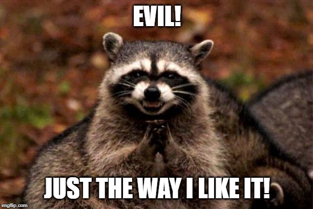 Evil Plotting Raccoon Meme | EVIL! JUST THE WAY I LIKE IT! | image tagged in memes,evil plotting raccoon | made w/ Imgflip meme maker