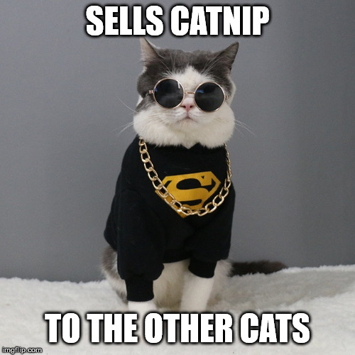 catnip cat | SELLS CATNIP; TO THE OTHER CATS | image tagged in funny cats,funny cat memes,cats,cat,cute cat,funny memes | made w/ Imgflip meme maker
