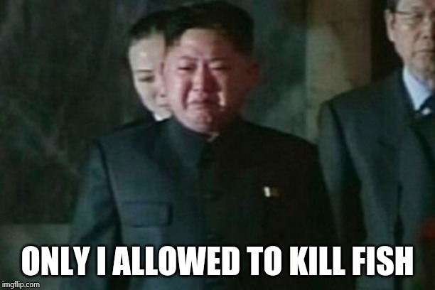 Kim Jong Un Sad Meme | ONLY I ALLOWED TO KILL FISH | image tagged in memes,kim jong un sad | made w/ Imgflip meme maker