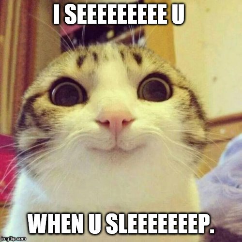 Smiling cat meme | I SEEEEEEEEE U; WHEN U SLEEEEEEEP. | image tagged in smiling cat meme | made w/ Imgflip meme maker