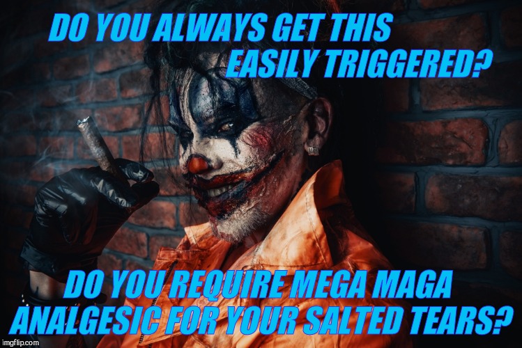 w | DO YOU ALWAYS GET THIS                                          
  EASILY TRIGGERED? DO YOU REQUIRE MEGA MAGA ANALGESIC FOR YOUR SALTED TEAR | image tagged in evil bloodstained clown | made w/ Imgflip meme maker