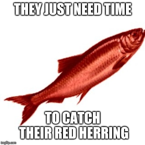 Red Herring | THEY JUST NEED TIME TO CATCH THEIR RED HERRING | image tagged in red herring | made w/ Imgflip meme maker
