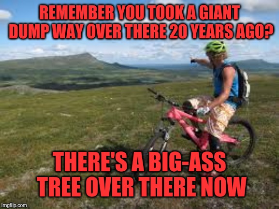 Way over there | REMEMBER YOU TOOK A GIANT DUMP WAY OVER THERE 20 YEARS AGO? THERE'S A BIG-ASS TREE OVER THERE NOW | image tagged in way over there | made w/ Imgflip meme maker