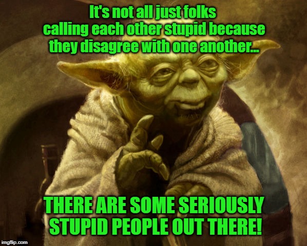 SERIOUSLY! | It's not all just folks calling each other stupid because they disagree with one another... THERE ARE SOME SERIOUSLY STUPID PEOPLE OUT THERE! | image tagged in yoda wise,stupid,memes | made w/ Imgflip meme maker