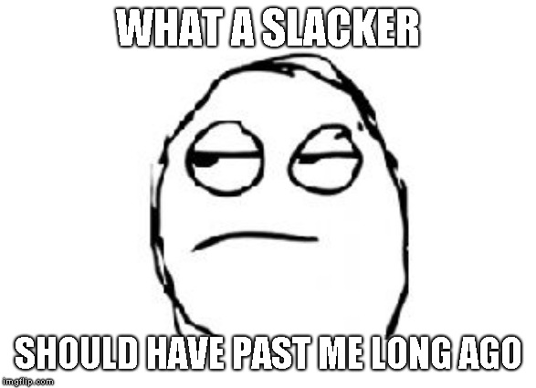 Meh | WHAT A SLACKER SHOULD HAVE PAST ME LONG AGO | image tagged in meh | made w/ Imgflip meme maker