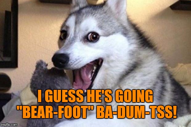Bad Pun Dog | I GUESS HE'S GOING "BEAR-FOOT" BA-DUM-TSS! | image tagged in bad pun dog | made w/ Imgflip meme maker