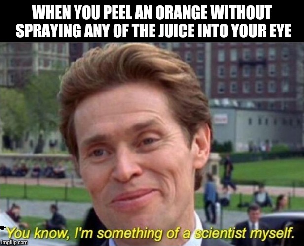 You know, I'm something of a scientist myself | WHEN YOU PEEL AN ORANGE WITHOUT SPRAYING ANY OF THE JUICE INTO YOUR EYE | image tagged in you know i'm something of a scientist myself | made w/ Imgflip meme maker