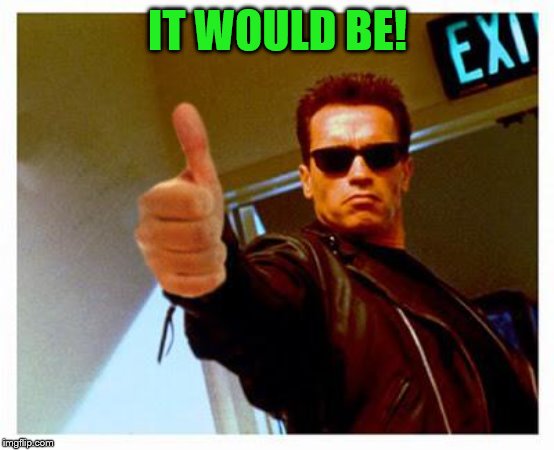 terminator thumbs up | IT WOULD BE! | image tagged in terminator thumbs up | made w/ Imgflip meme maker