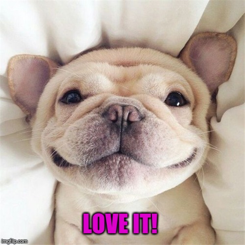 Smiling puppy | LOVE IT! | image tagged in smiling puppy | made w/ Imgflip meme maker