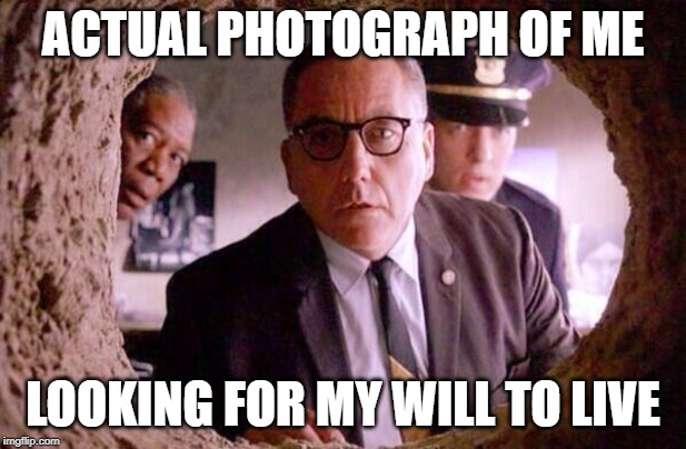 It was just right here! |  ACTUAL PHOTOGRAPH OF ME; LOOKING FOR MY WILL TO LIVE | image tagged in shawshank redemption,will to live | made w/ Imgflip meme maker