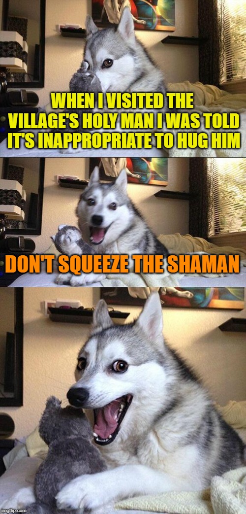 He's called bad pun dog. Don't blame him for the way he was made. | WHEN I VISITED THE VILLAGE'S HOLY MAN I WAS TOLD IT'S INAPPROPRIATE TO HUG HIM; DON'T SQUEEZE THE SHAMAN | image tagged in memes,bad pun dog,shaman,charmin | made w/ Imgflip meme maker