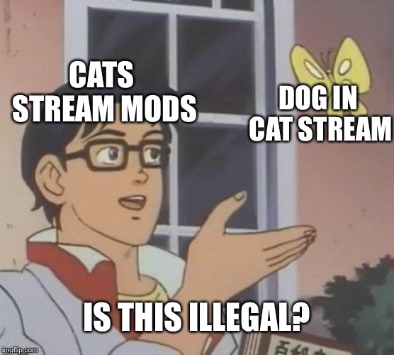 Is This A Pigeon Meme | CATS STREAM MODS DOG IN CAT STREAM IS THIS ILLEGAL? | image tagged in memes,is this a pigeon | made w/ Imgflip meme maker